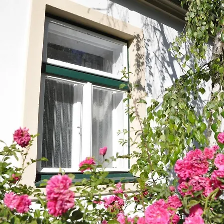 Haus Irblingweg 別荘